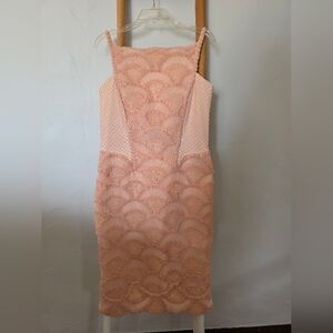 Tadashi Shoji Blush Lace Midi Dress